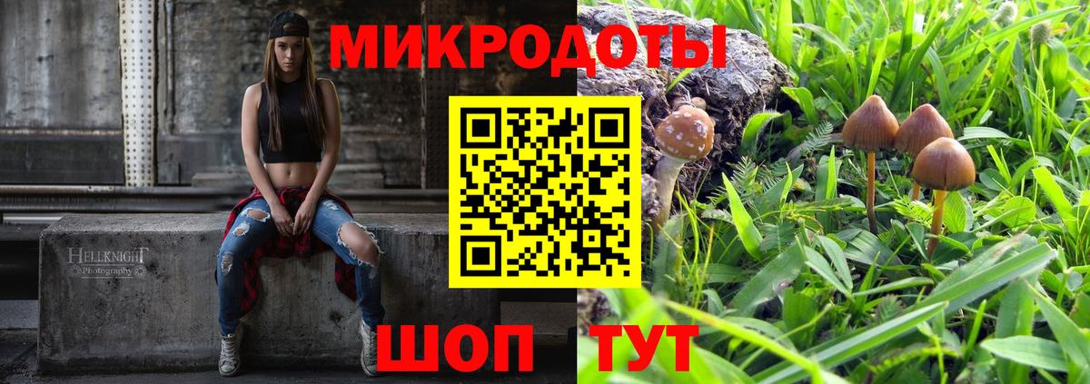 Кузнецк  где можно купить   Вход с VPN  Галлюциногенные грибы GOLDEN TEACHER 