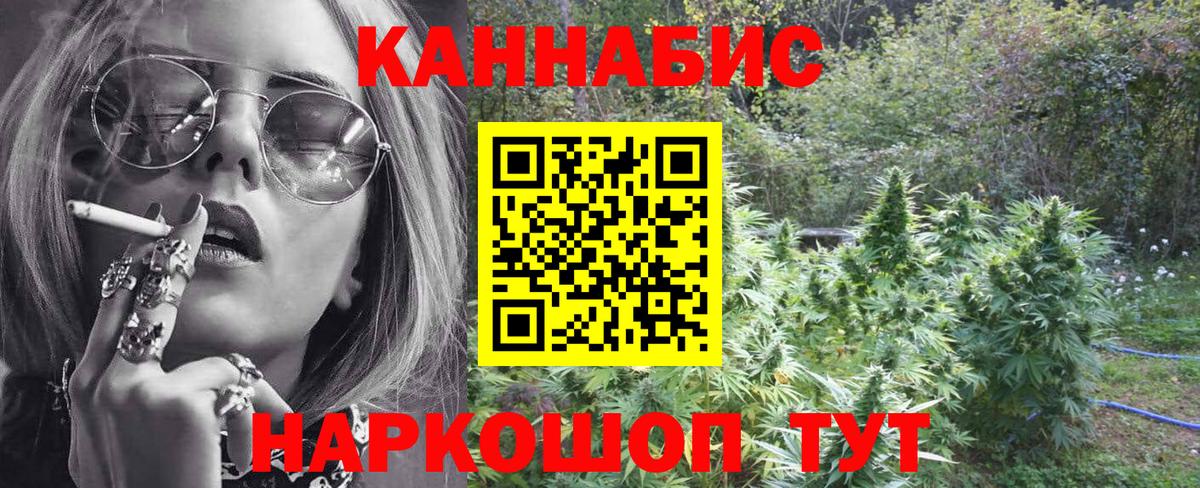 Конопля конопля Кузнецк